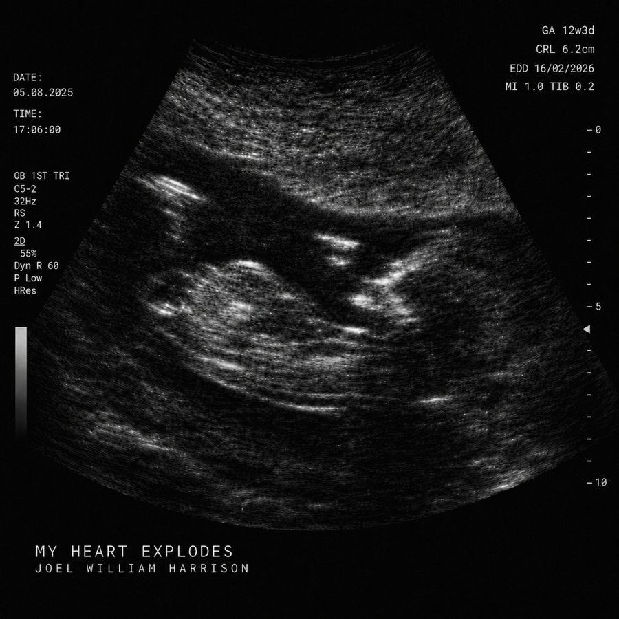 My Heart Explodes — single artwork